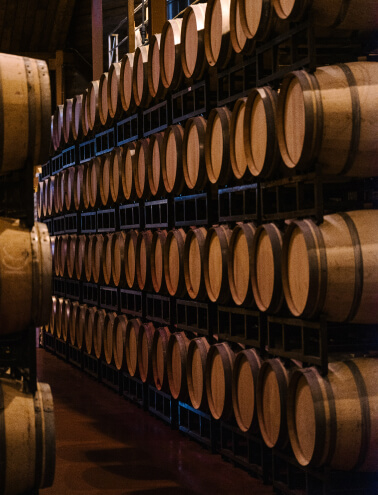 wine barrels stacked