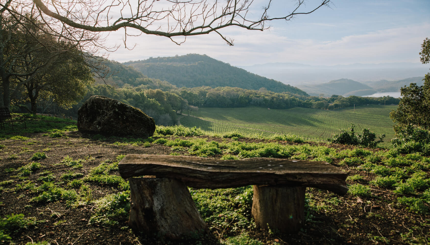 A bench overlooking Pritchard Hill