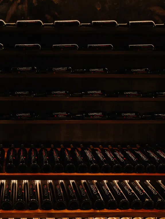 stacked bottles of chappellet wine