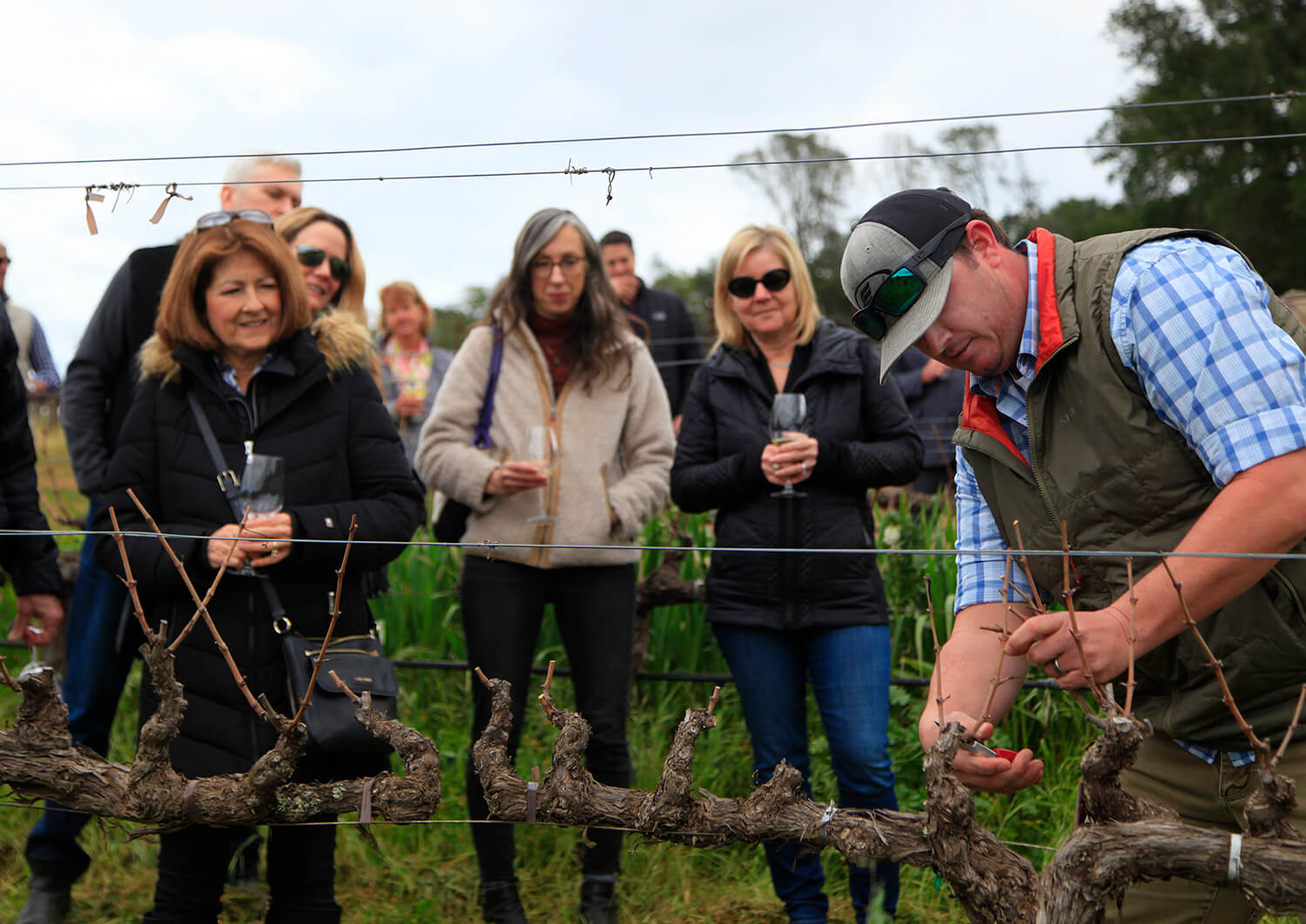 People holding wine glasses looking at person cutting twig