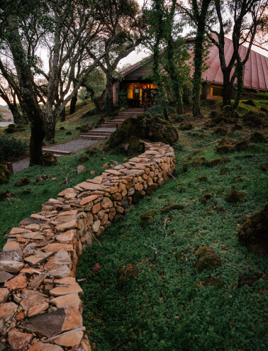 A photo of a stone path leading up to the Chappellet tasting room