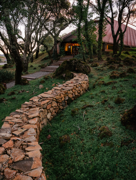 Stone path leading up to the Chappellet tasting room