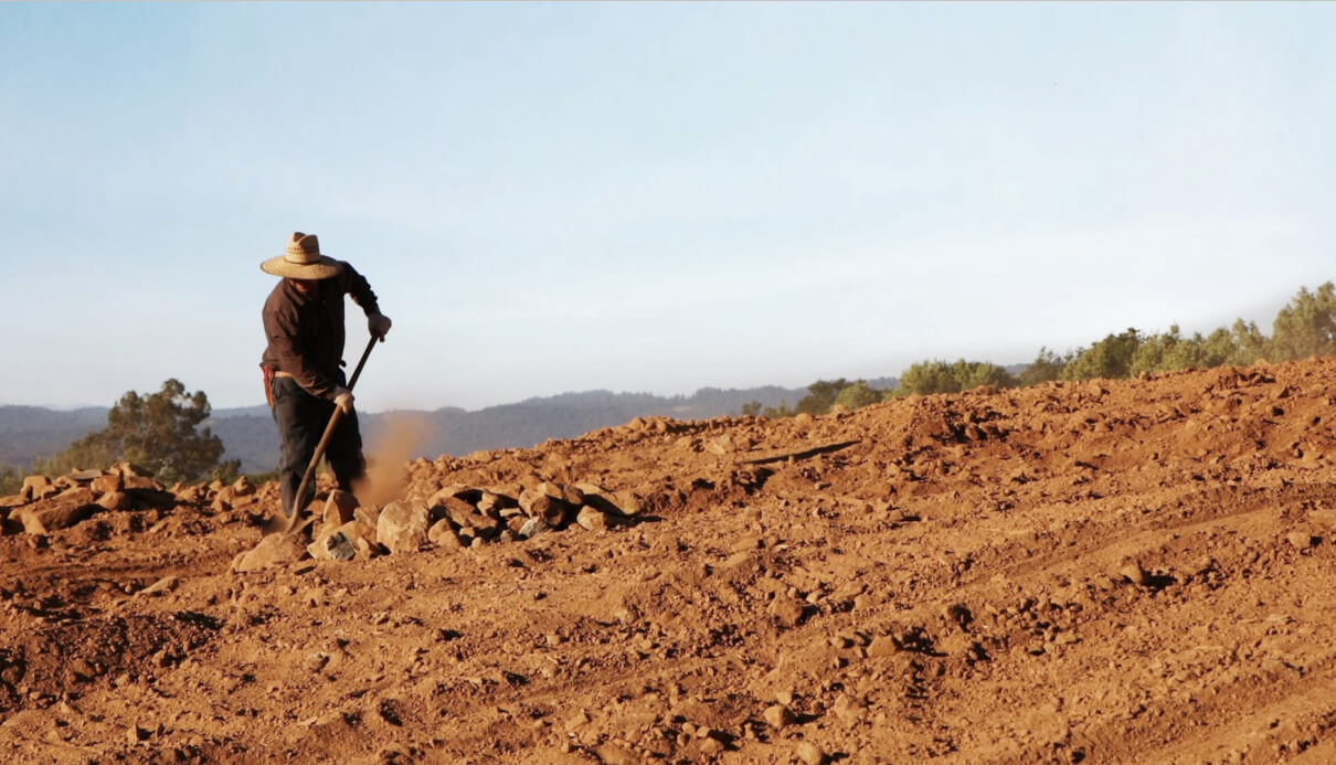 Person wearing hat digging on soil