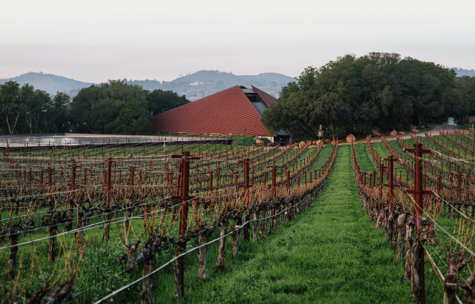 Chappellet vineyard and Lake Hennesy