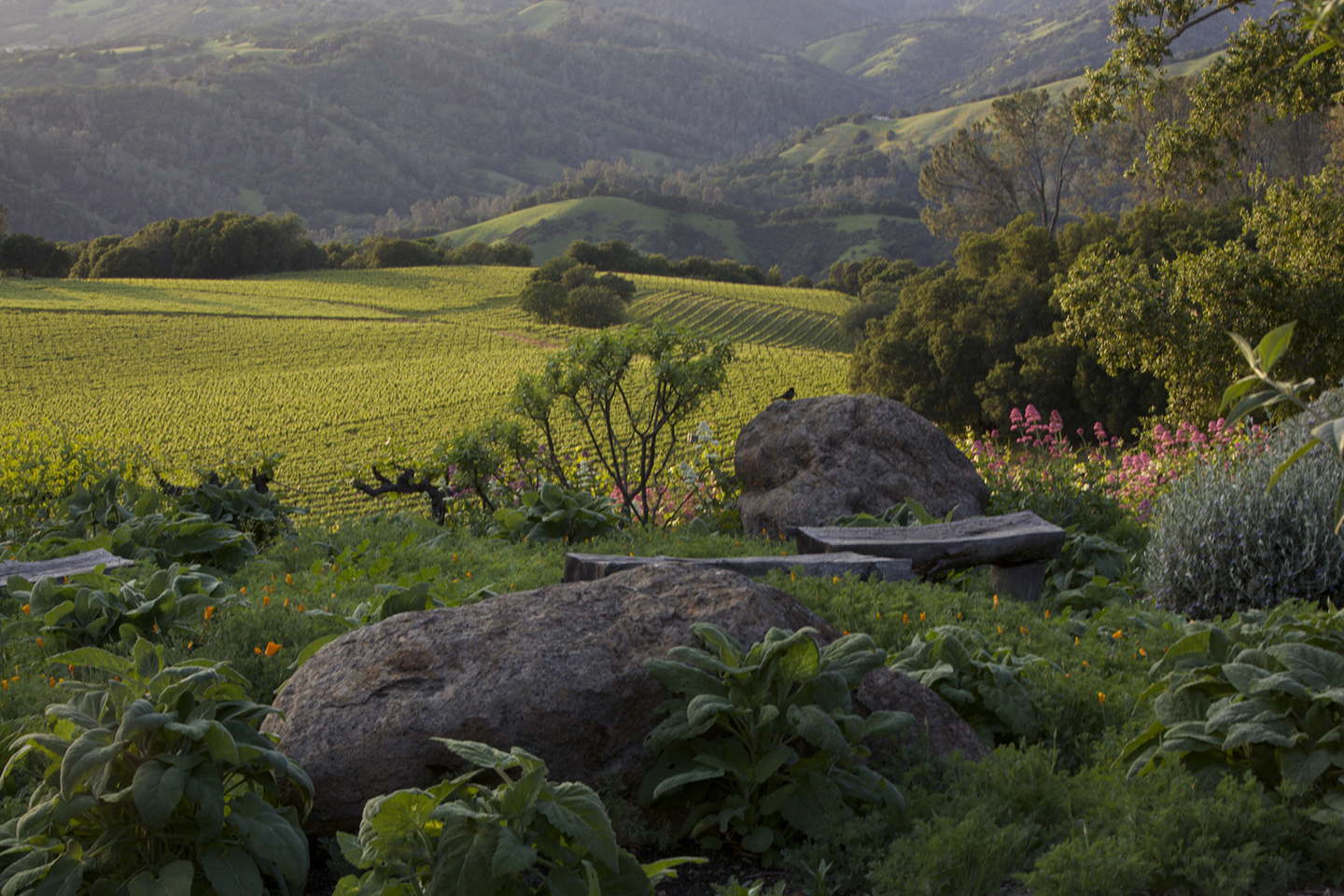 Hills and garden view