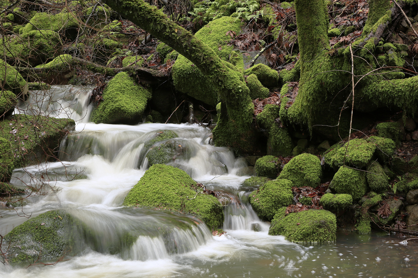 Scenic waterfall with rocks and mossy trees