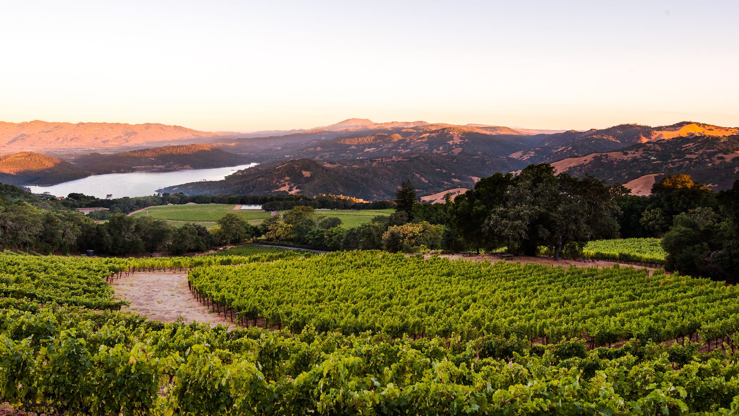 Wine Spectator: “The Ultimate Travel Guide to Napa Valley”